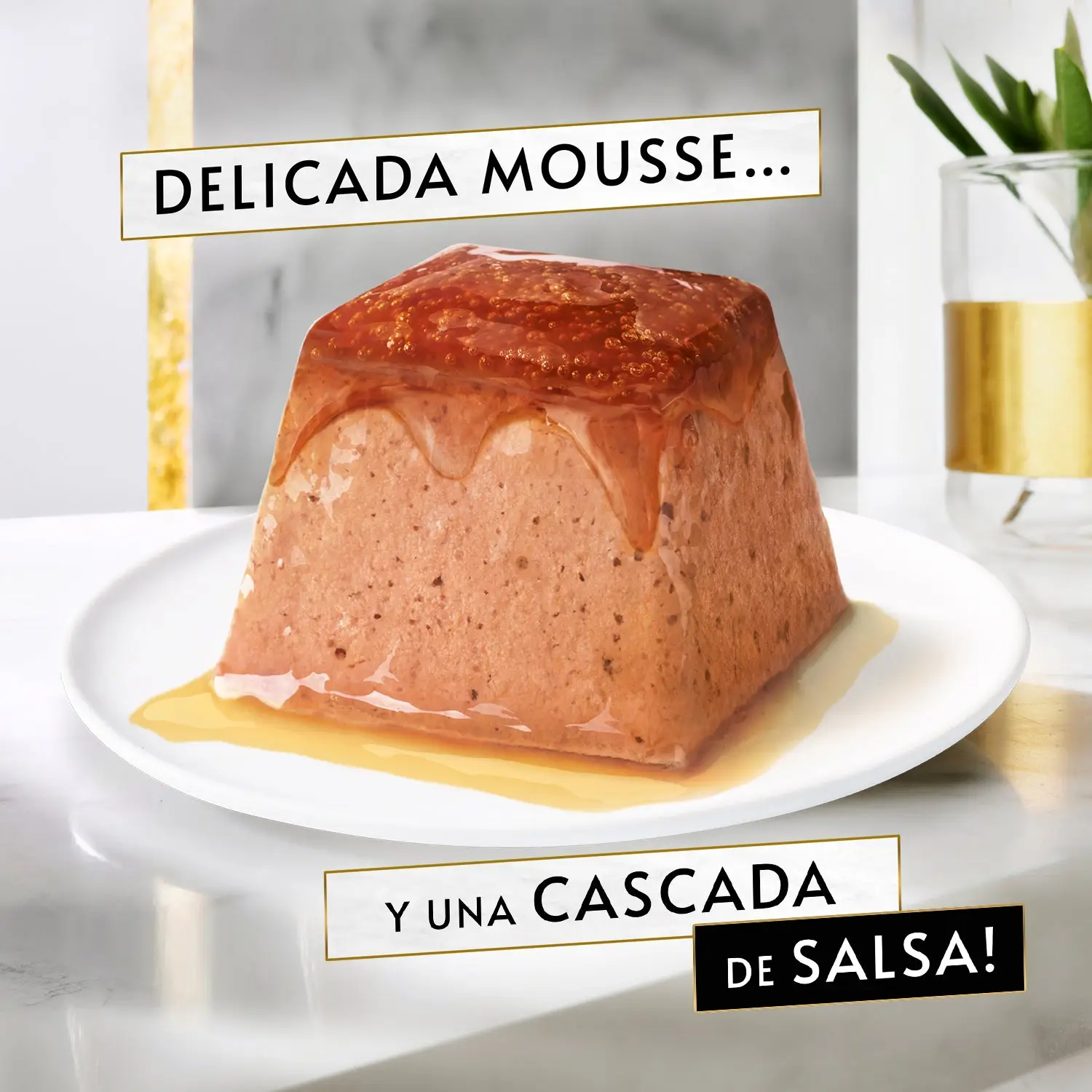 Gourmet Revelations Mousse Salmón y Atún Pack 48X57 g - Image 5