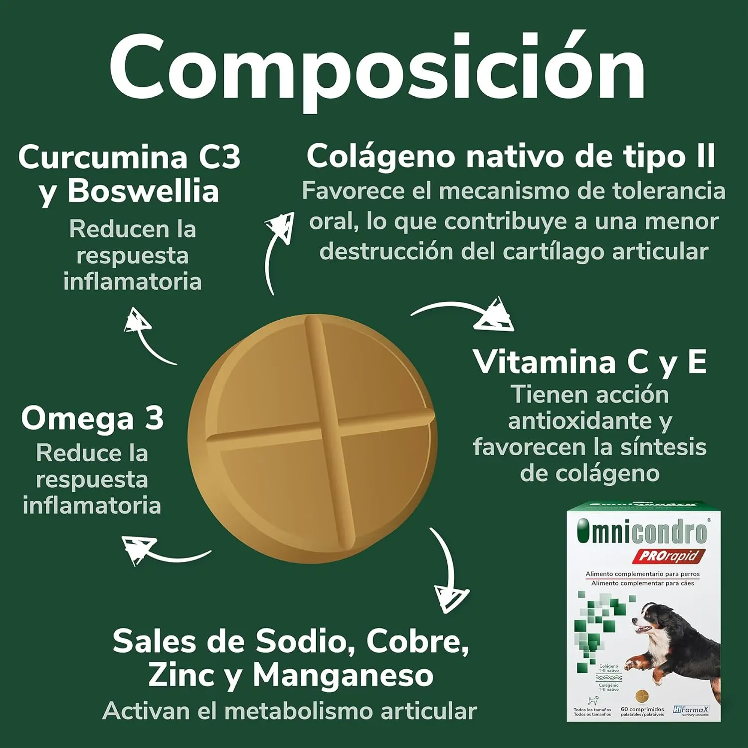 Hifarmax Omnicondro ProRapid 60 Comprimidos Suplemento Condroprotector para Perros - Image 3