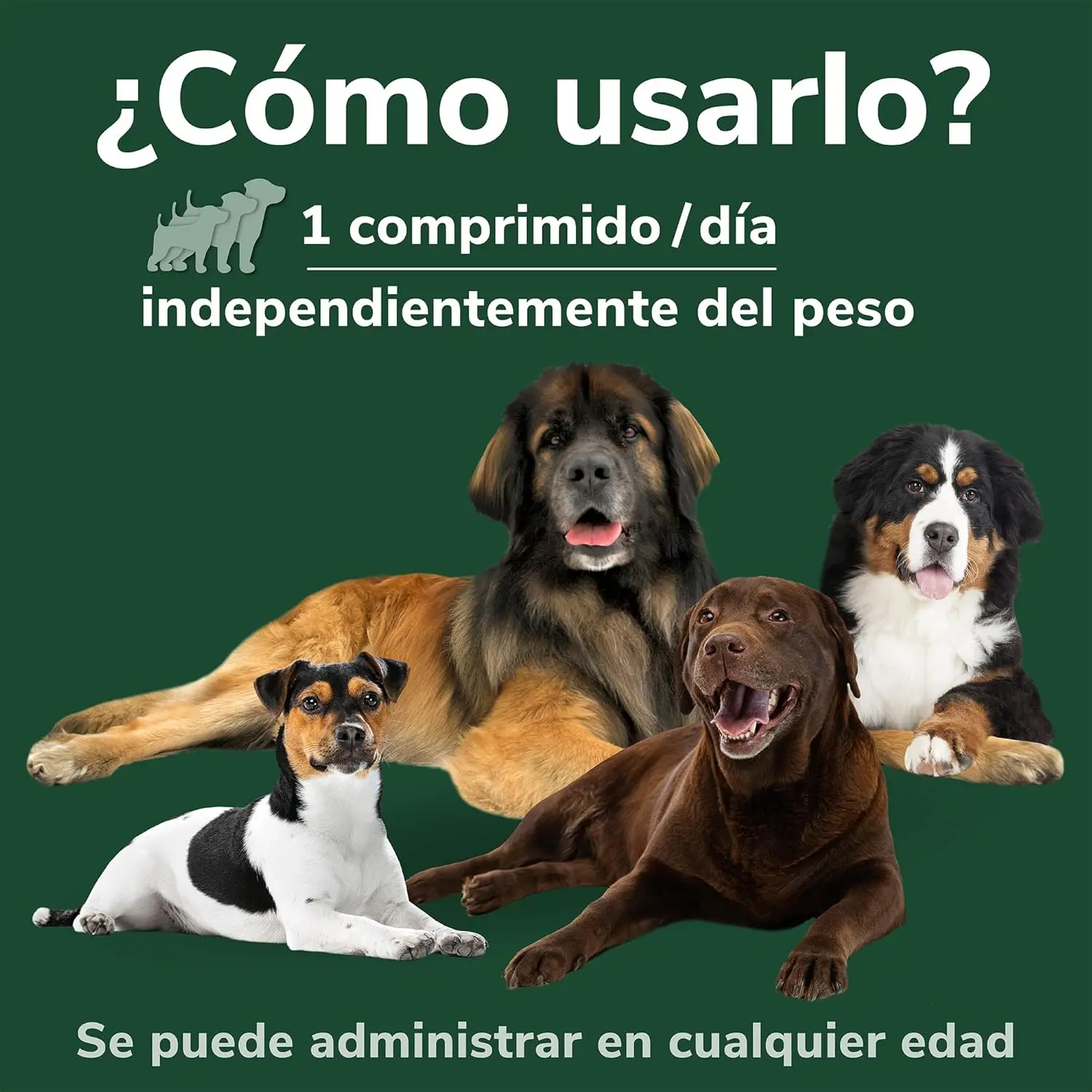 Hifarmax Omnicondro ProRapid 60 Comprimidos Suplemento Condroprotector para Perros - Image 4