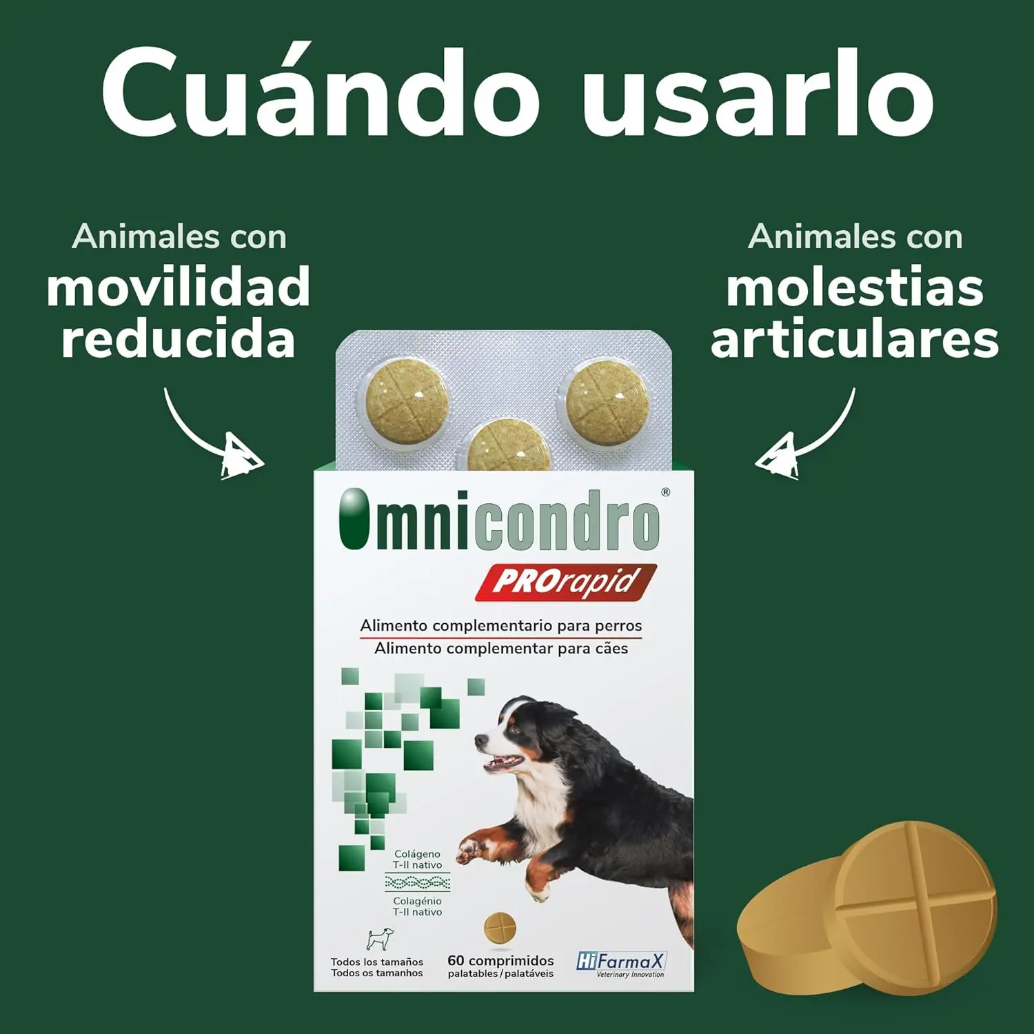 Hifarmax Omnicondro ProRapid 60 Comprimidos Suplemento Condroprotector para Perros - Image 5
