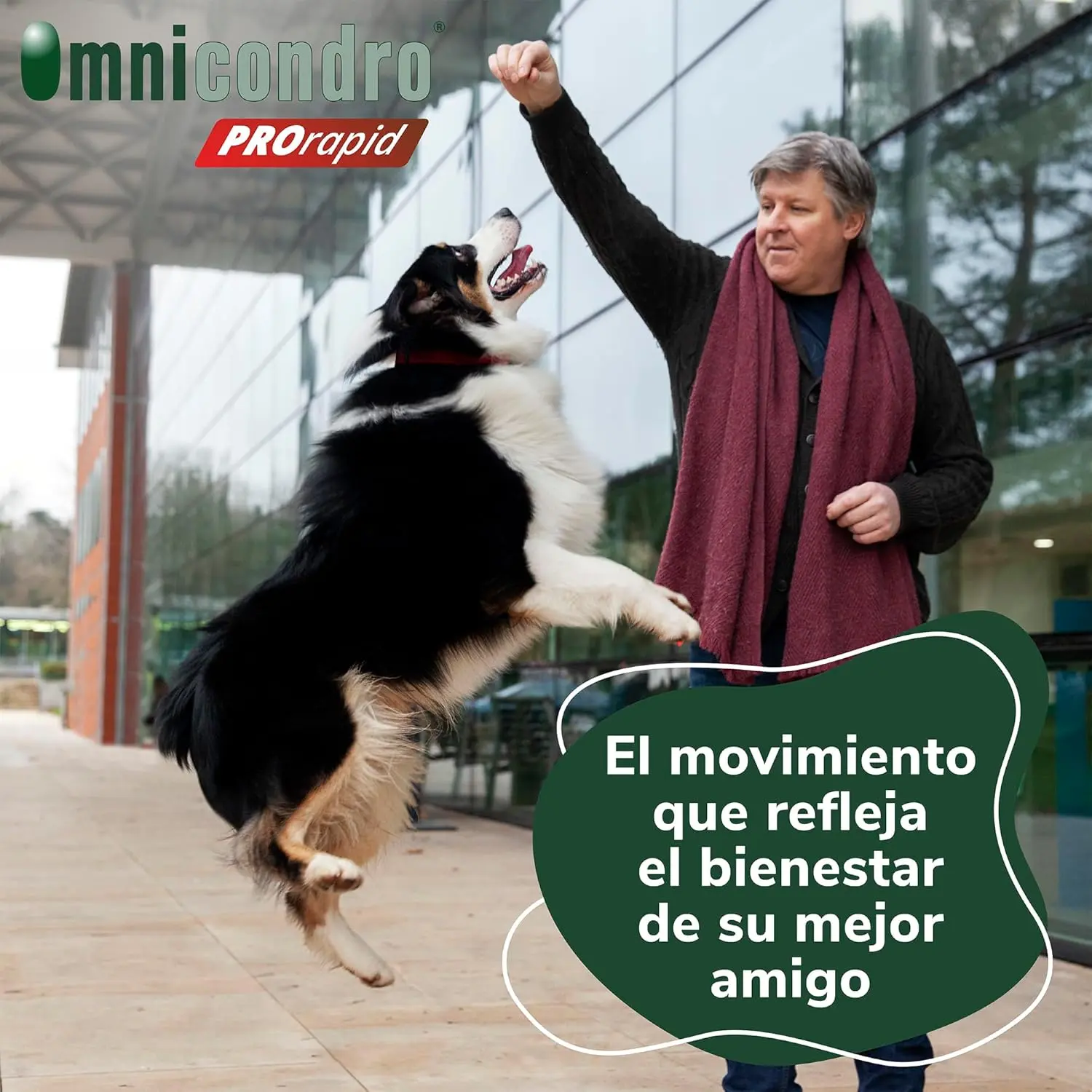 Hifarmax Omnicondro ProRapid 60 Comprimidos Suplemento Condroprotector para Perros - Image 6