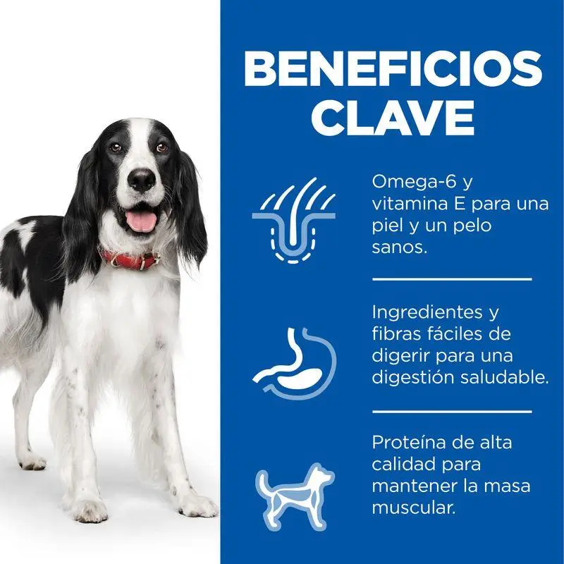 Hill'S Science Plan Adult 1-6 Años Razas Medianas Pollo 2,5 kg Alimento para Perros - Image 3