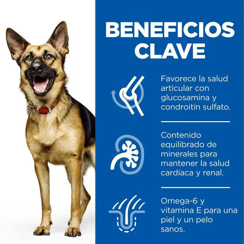 Hill'S Science Plan Mature Adult 5+ Large Breed Pollo 14 kg Alimento para Perros - Image 3