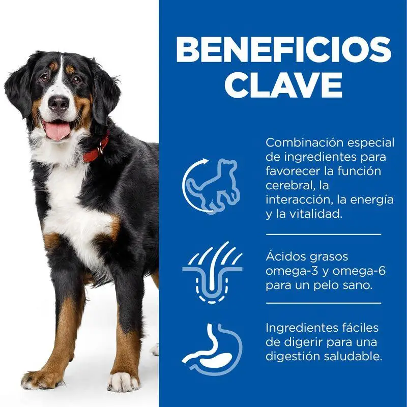 Hill'S Science Plan Mature Adult 5+ Senior Vitality Large Breed Pollo 14 kg Alimento para Perros - Image 3