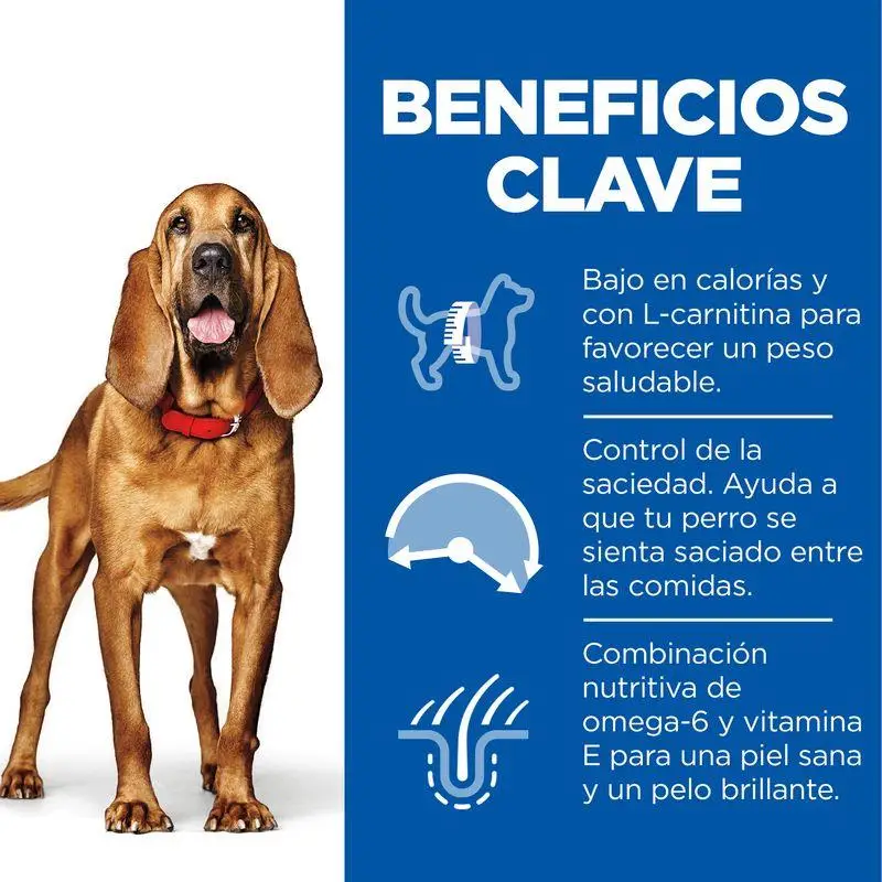 Hill'S Science Plan Mature Adult 7+ Light Medium Pollo 14 kg Alimento para Perros - Image 2