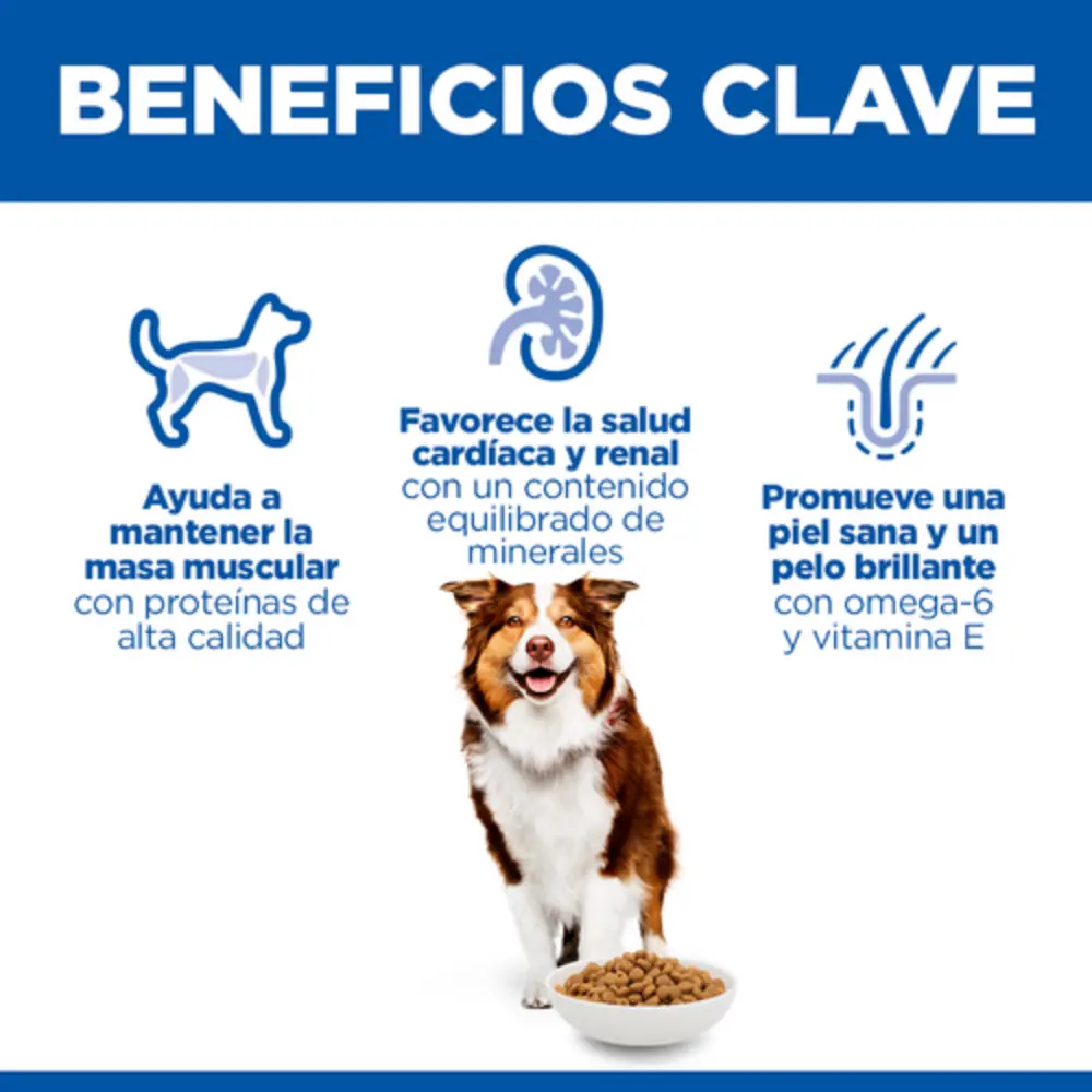 Hill'S Science Plan Mature Adult 7+ Medium Pollo 2,5 kg Alimento para Perros - Image 2