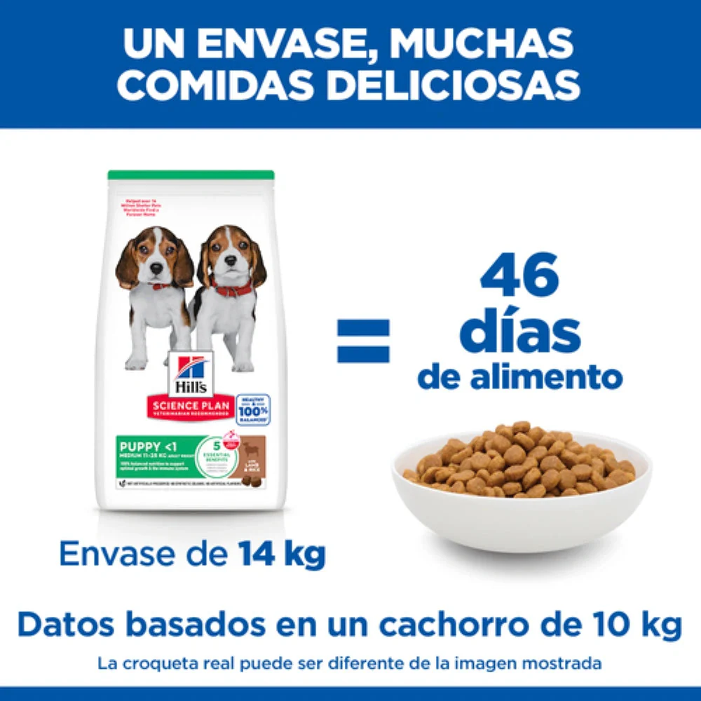 Hill'S Science Plan Medium Puppy Cordero y Arroz 14 kg Alimento para Perros - Image 5
