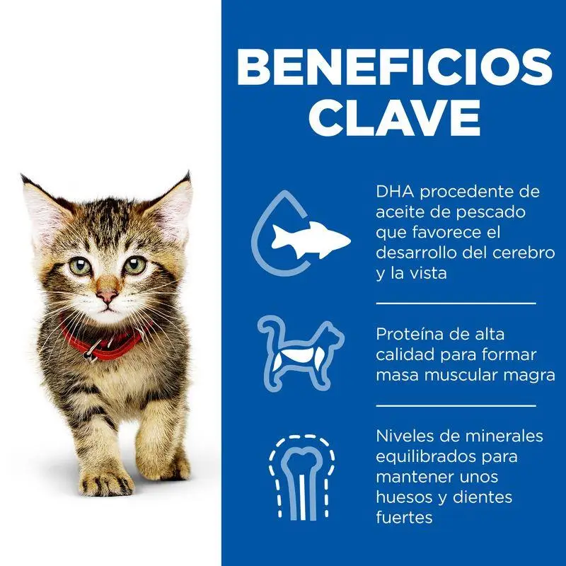 Hill'S Science Plan Kitten Pollo 7 kg Alimento para Gatos - Image 3