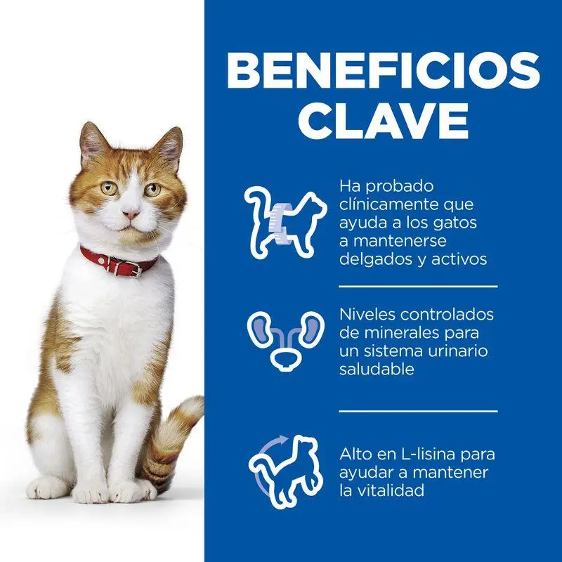 Hill'S Young Adult Sterilised Cat Pollo 10 kg Alimento para Gatos - Image 4