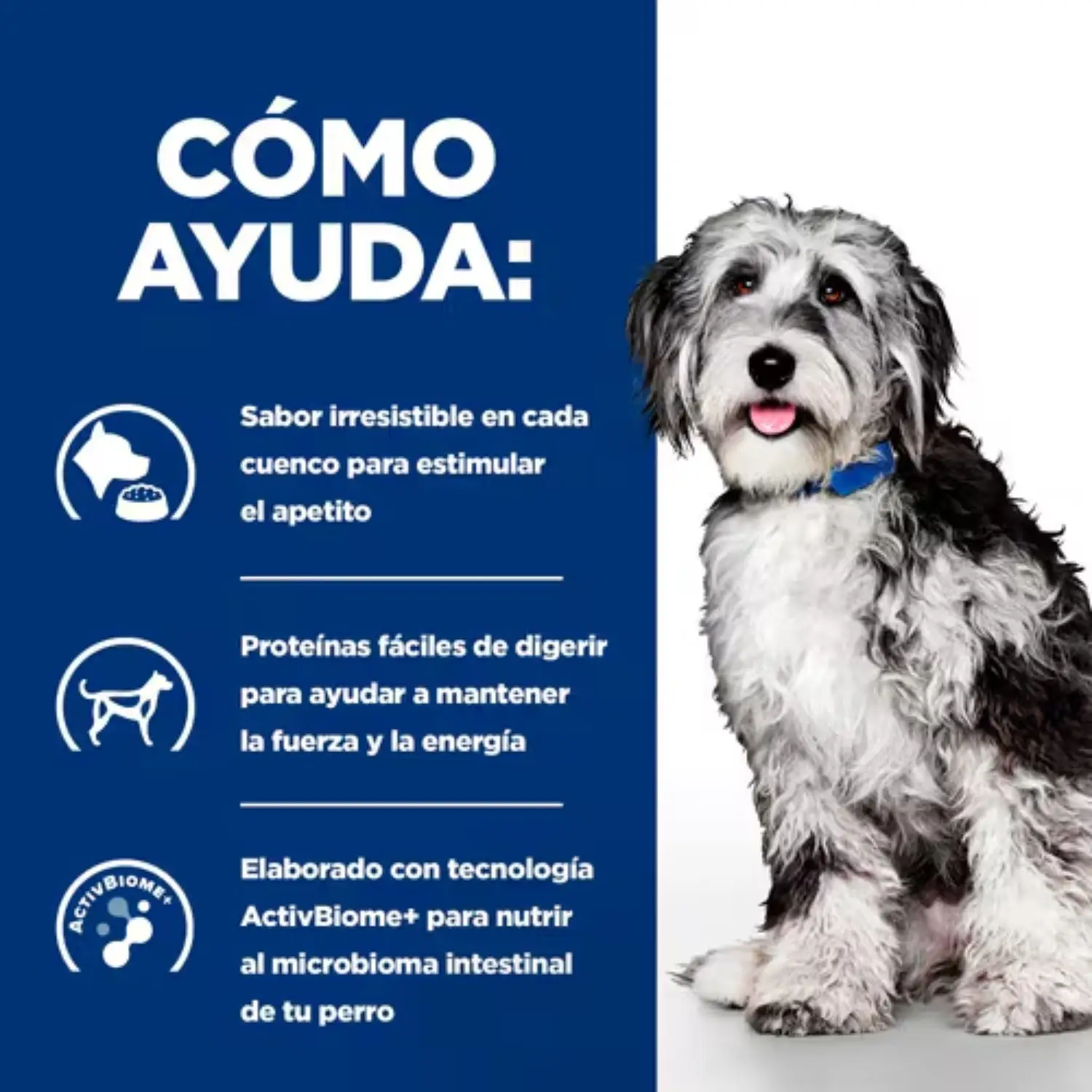 Hill'S Prescription Diet Pienso ON-Care Pollo para Perros - Image 3