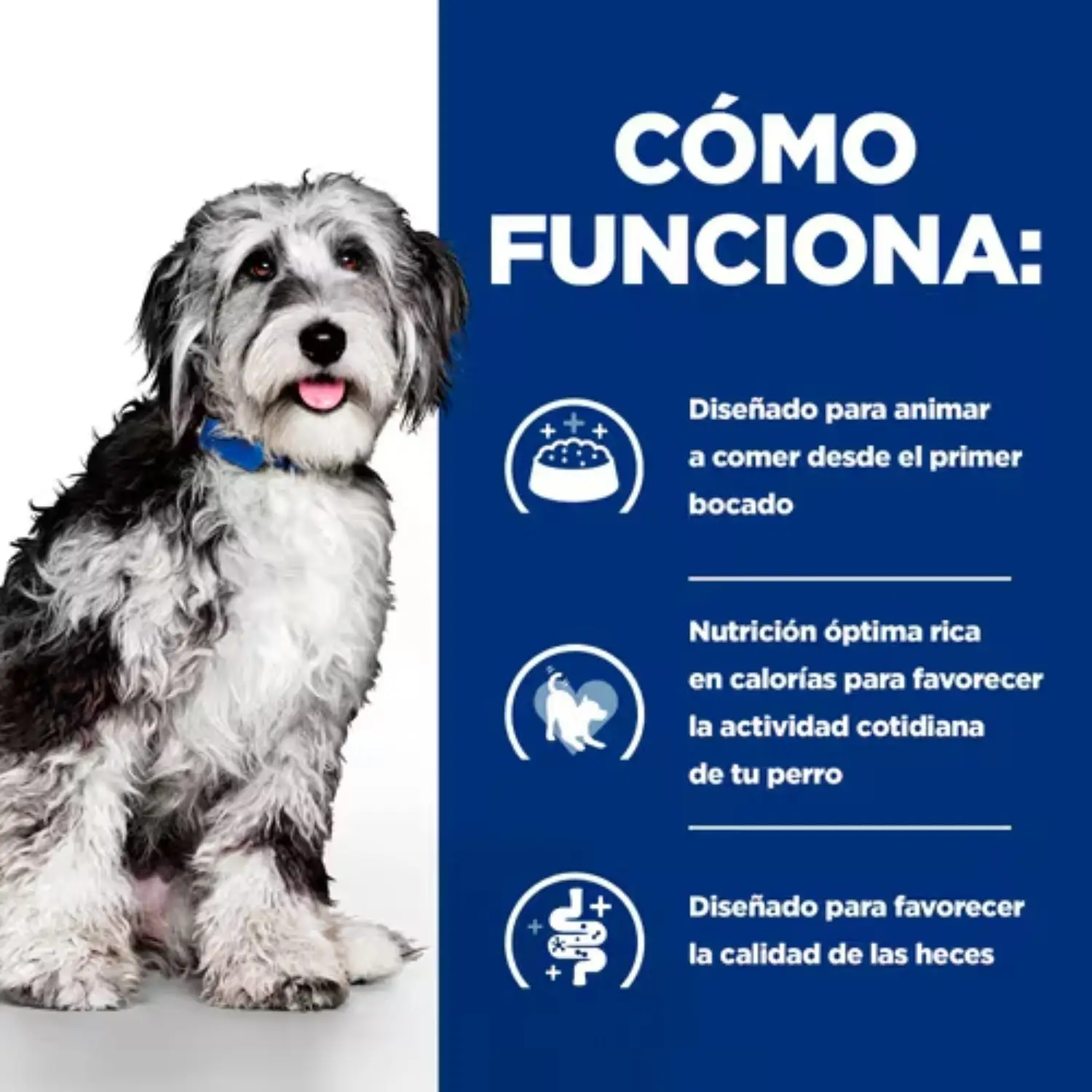 Hill'S Prescription Diet Pienso ON-Care Pollo para Perros - Image 4