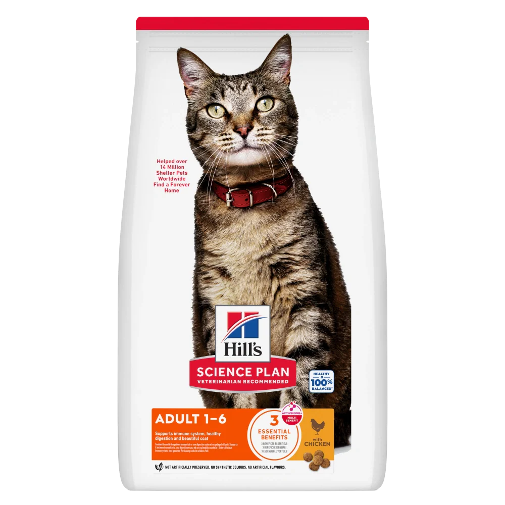 Mejores Ofertas en Productos para Gatos