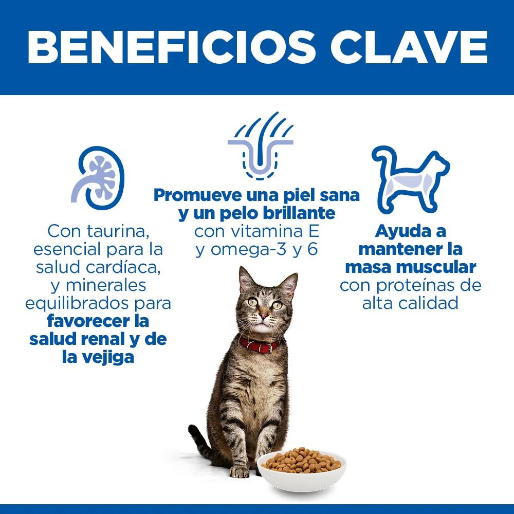 Hill's Science Plan Adult Pollo 300 g Pienso para Gatos - Image 9