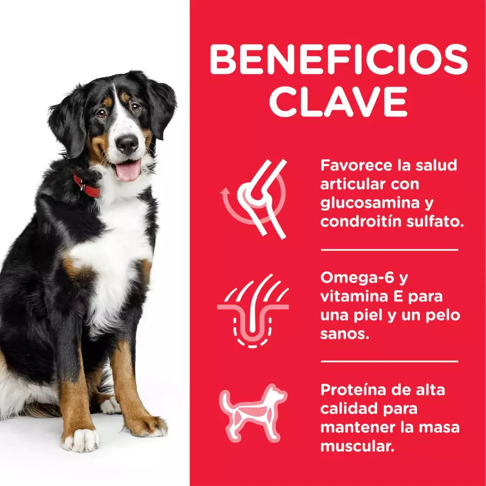 Hill's Science Plan Adult Razas Grandes Pollo Pienso para Perros - Image 2