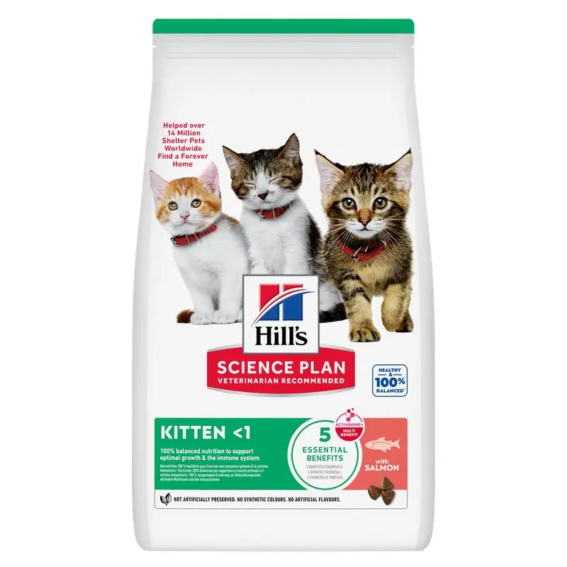 Hill's Science Plan Kitten Salmón Pienso para Gatitos