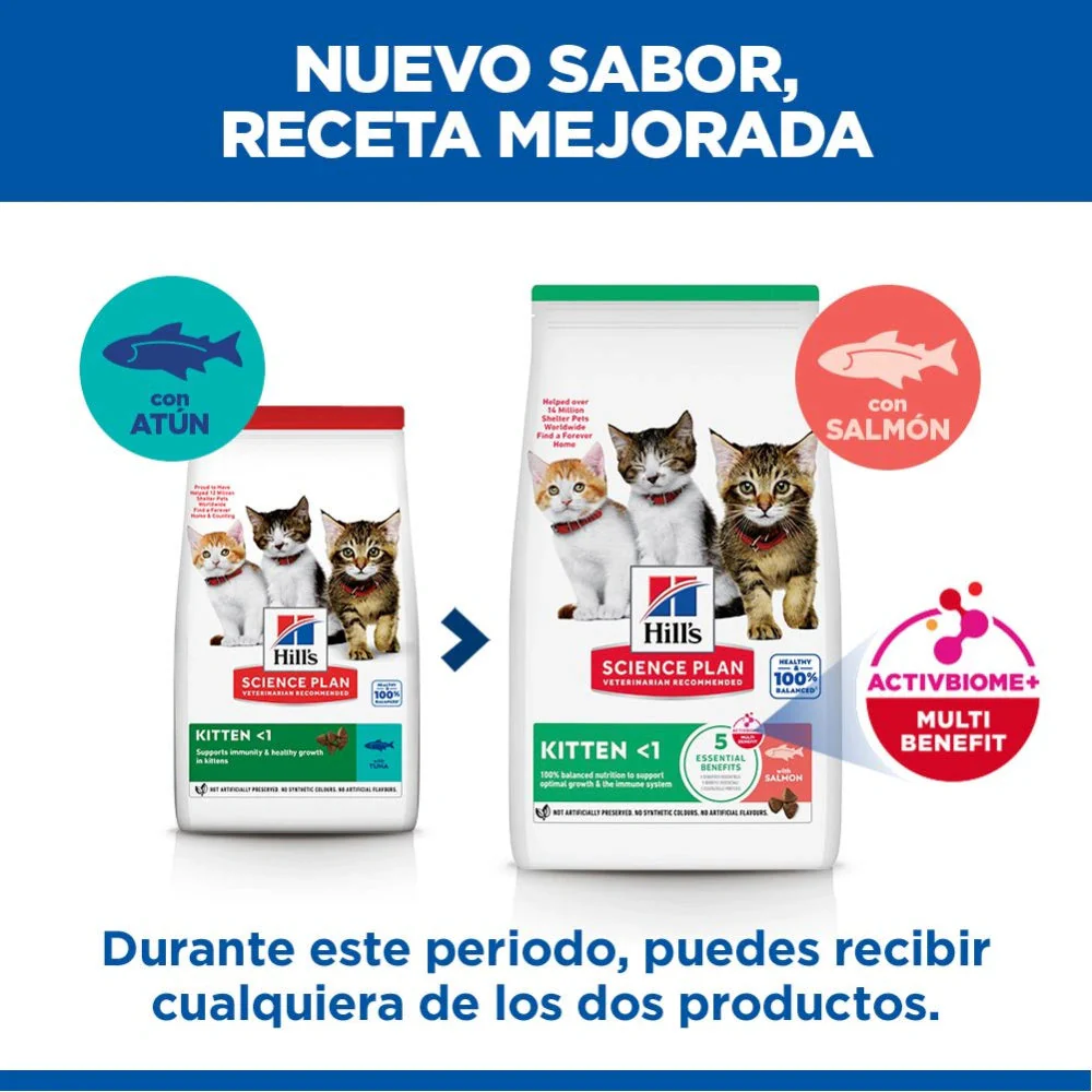 Hill's Science Plan Kitten Salmón Pienso para Gatitos - Image 10