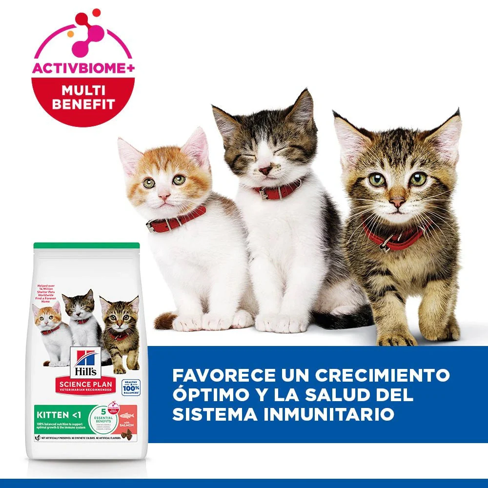 Hill's Science Plan Kitten Salmón Pienso para Gatitos - Image 11