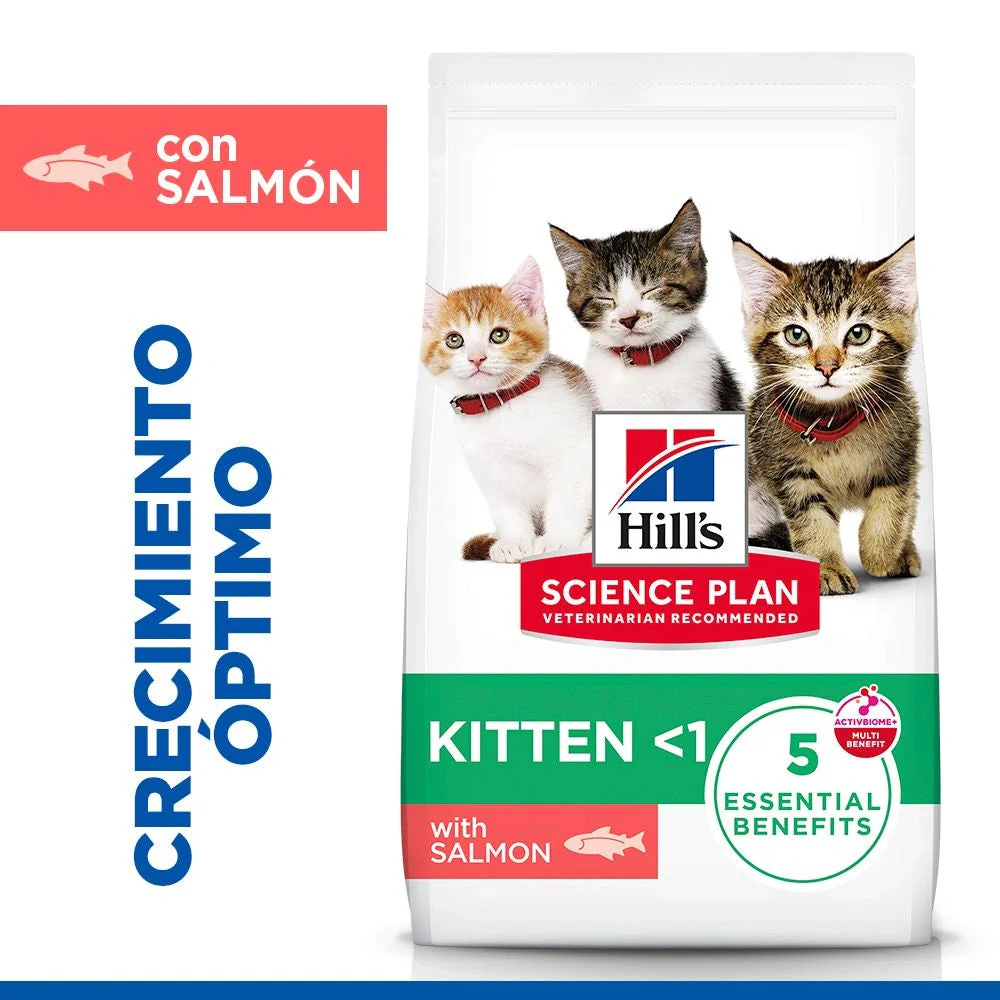 Hill's Science Plan Kitten Salmón Pienso para Gatitos - Image 3