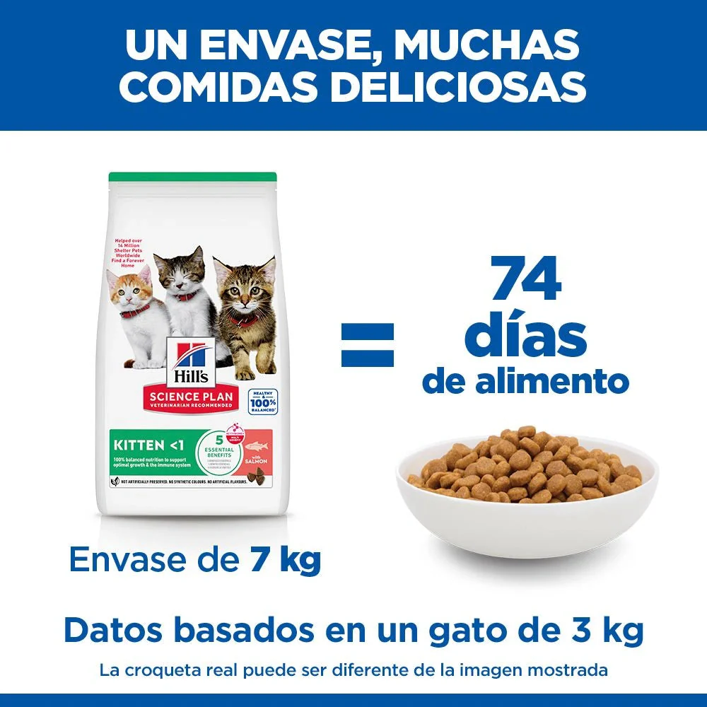 Hill's Science Plan Kitten Salmón Pienso para Gatitos - Image 4
