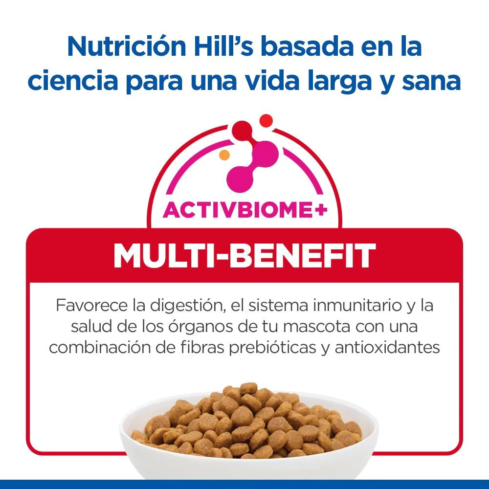 Hill's Science Plan Kitten Salmón Pienso para Gatitos - Image 5