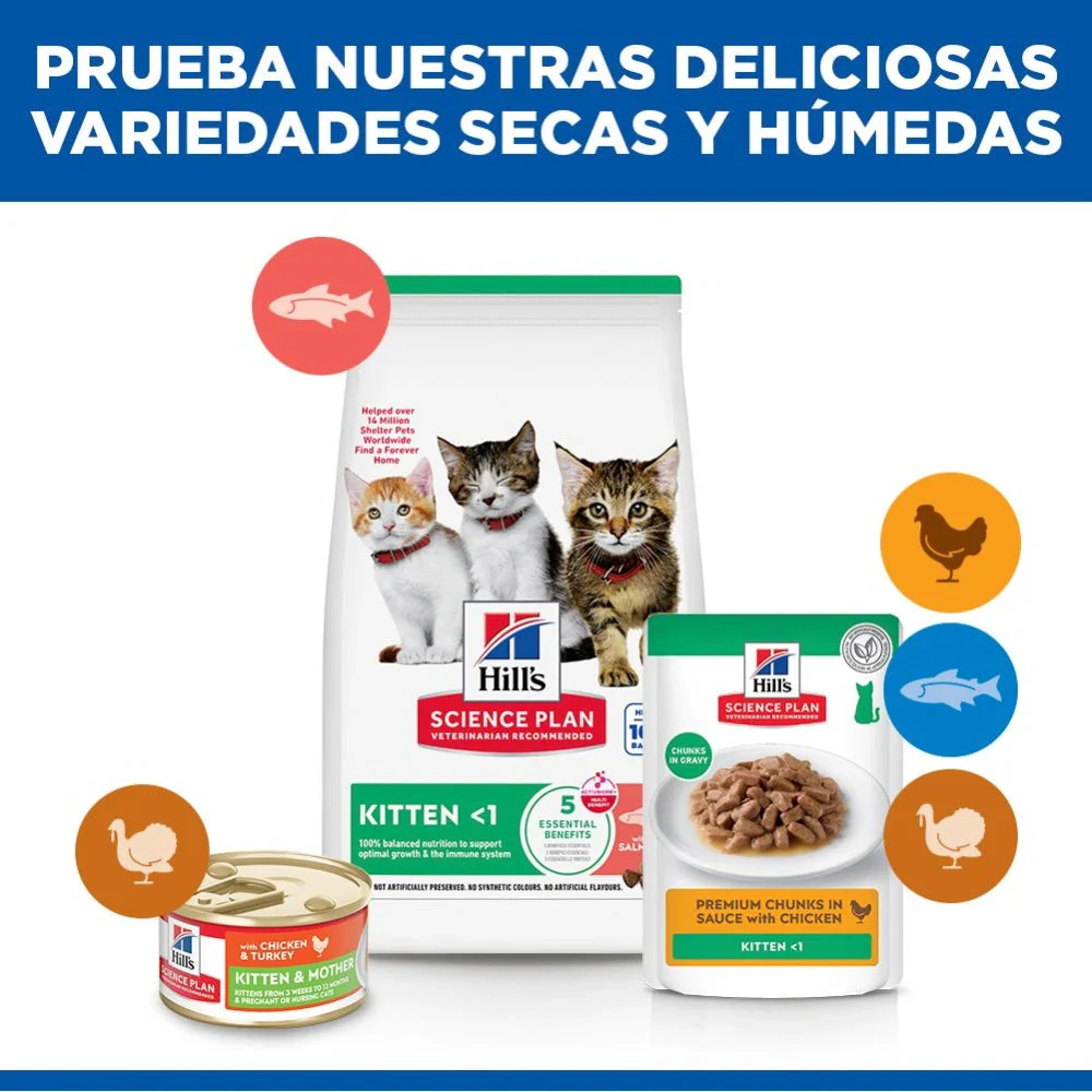 Hill's Science Plan Kitten Salmón Pienso para Gatitos - Image 6