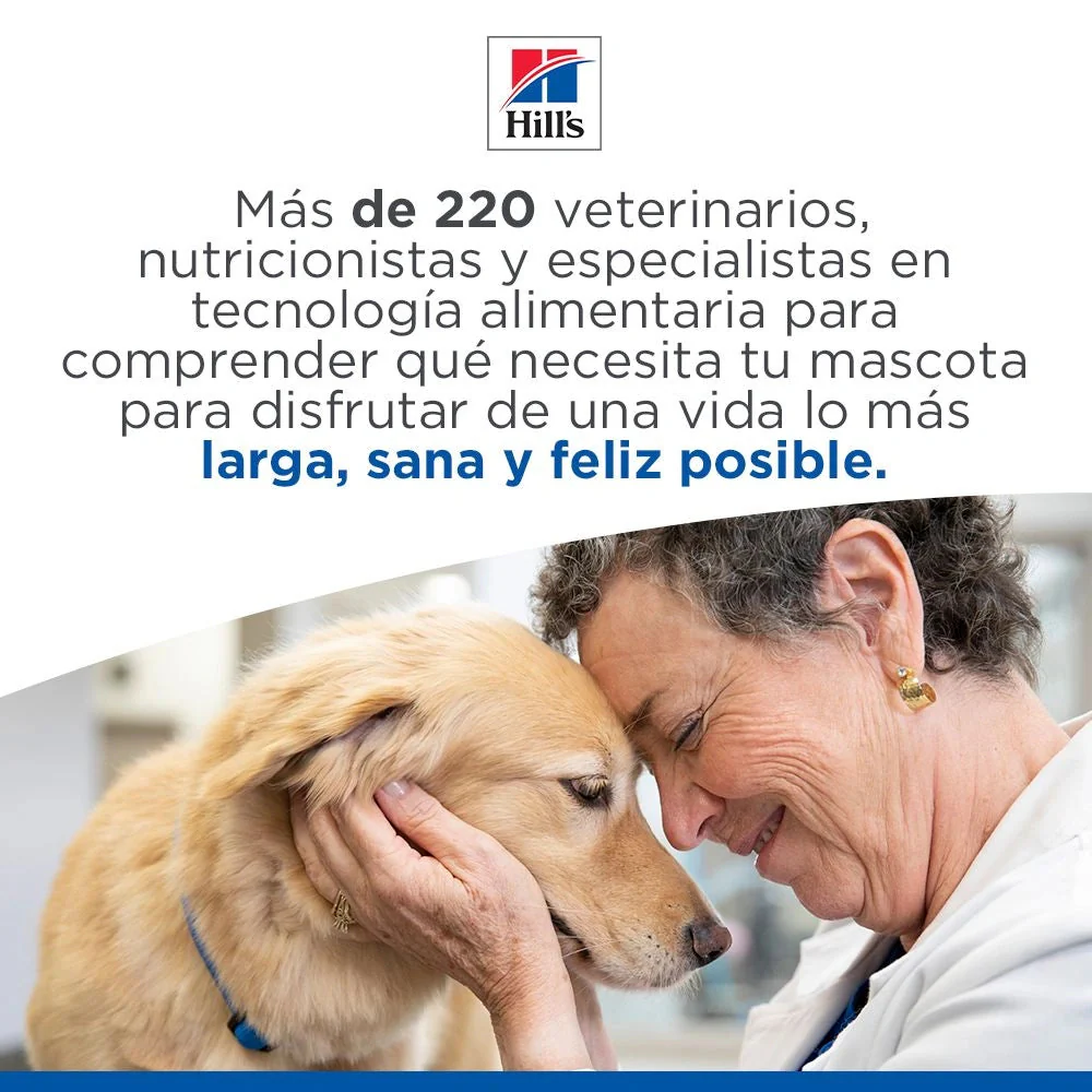 Hill's Science Plan Kitten Salmón Pienso para Gatitos - Image 7