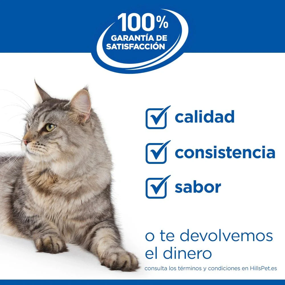 Hill's Science Plan Kitten Salmón Pienso para Gatitos - Image 8