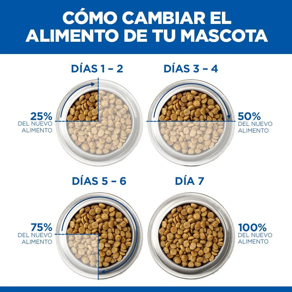 Hill's Science Plan Kitten Salmón Pienso para Gatitos - Image 9