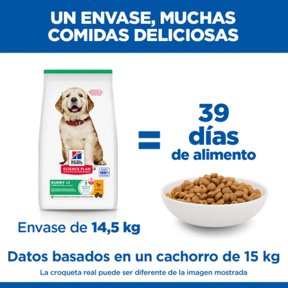 Hill's Science Plan Puppy Razas Grandes Pollo Pienso para Cachorros - Image 4