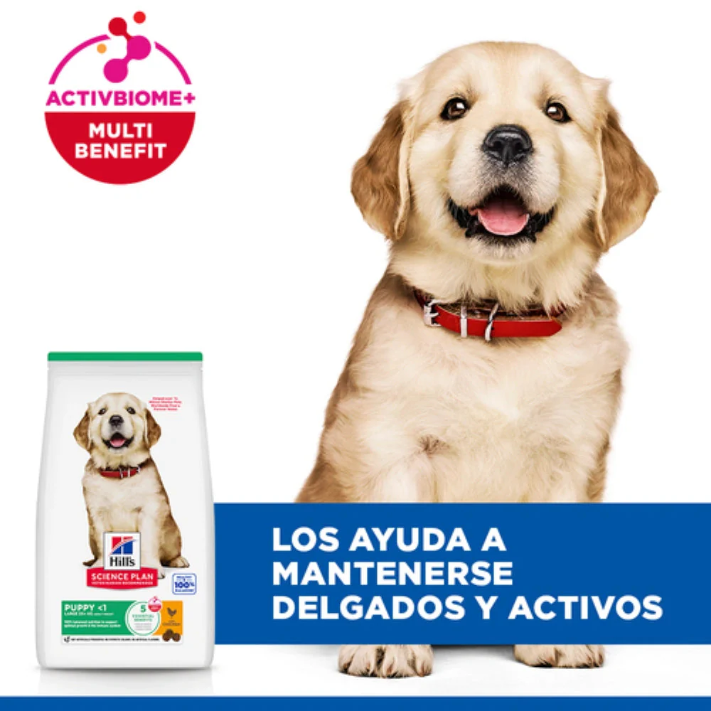 Hill's Science Plan Puppy Razas Grandes Pollo Pienso para Cachorros - Image 5