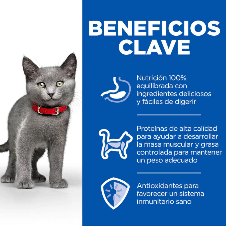 Hill's Science Plan Sterilized Kitten Pollo Pack 12x85g Húmeda para Gatos - Image 3
