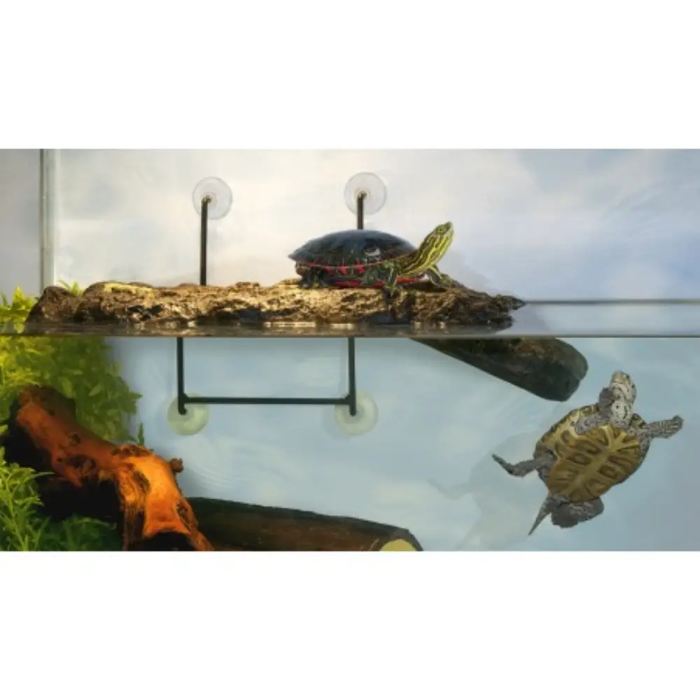 Isla Turtle Dock - Image 2
