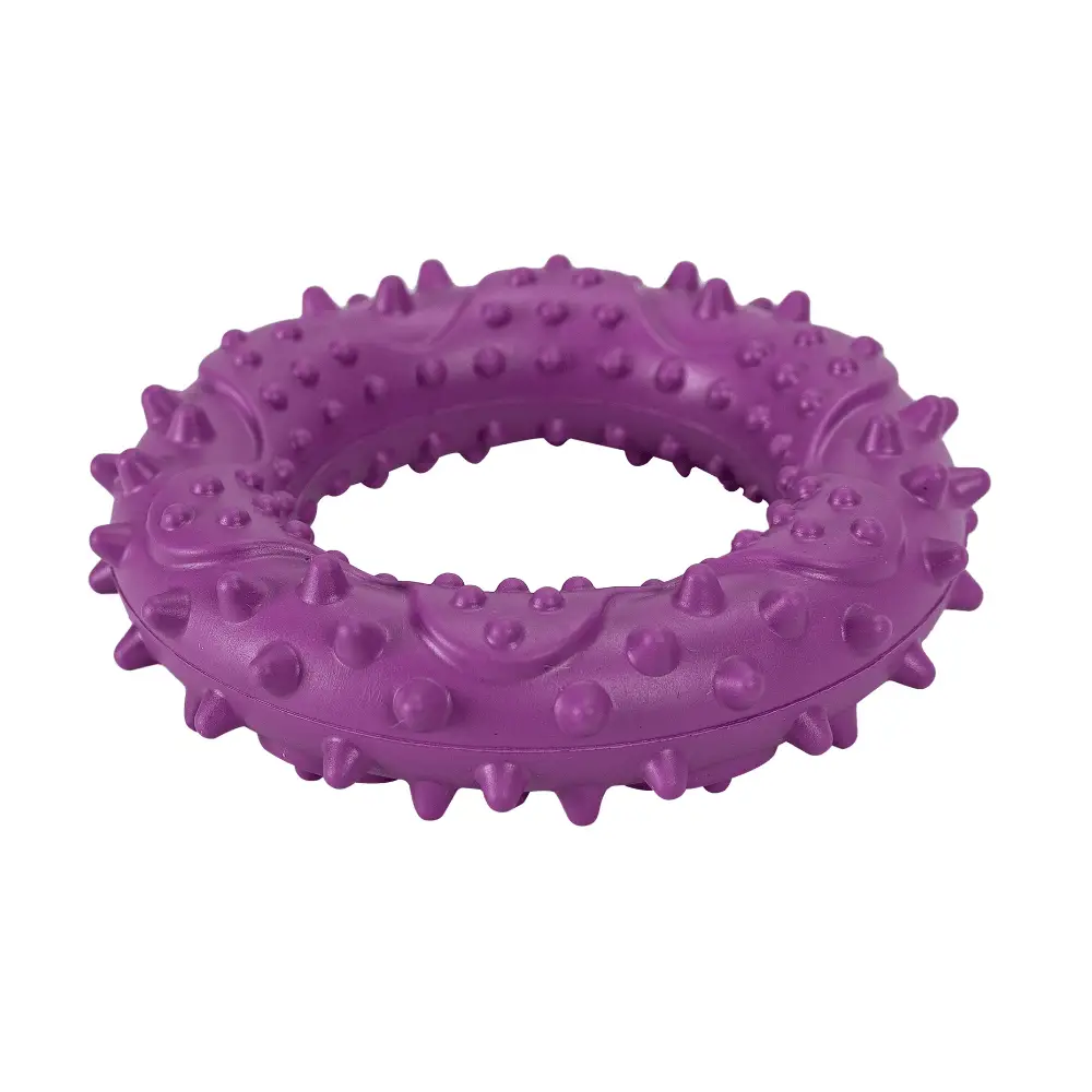 Juguete Perro Goma Hoop Violeta 9,2x9,2x2,4 cm