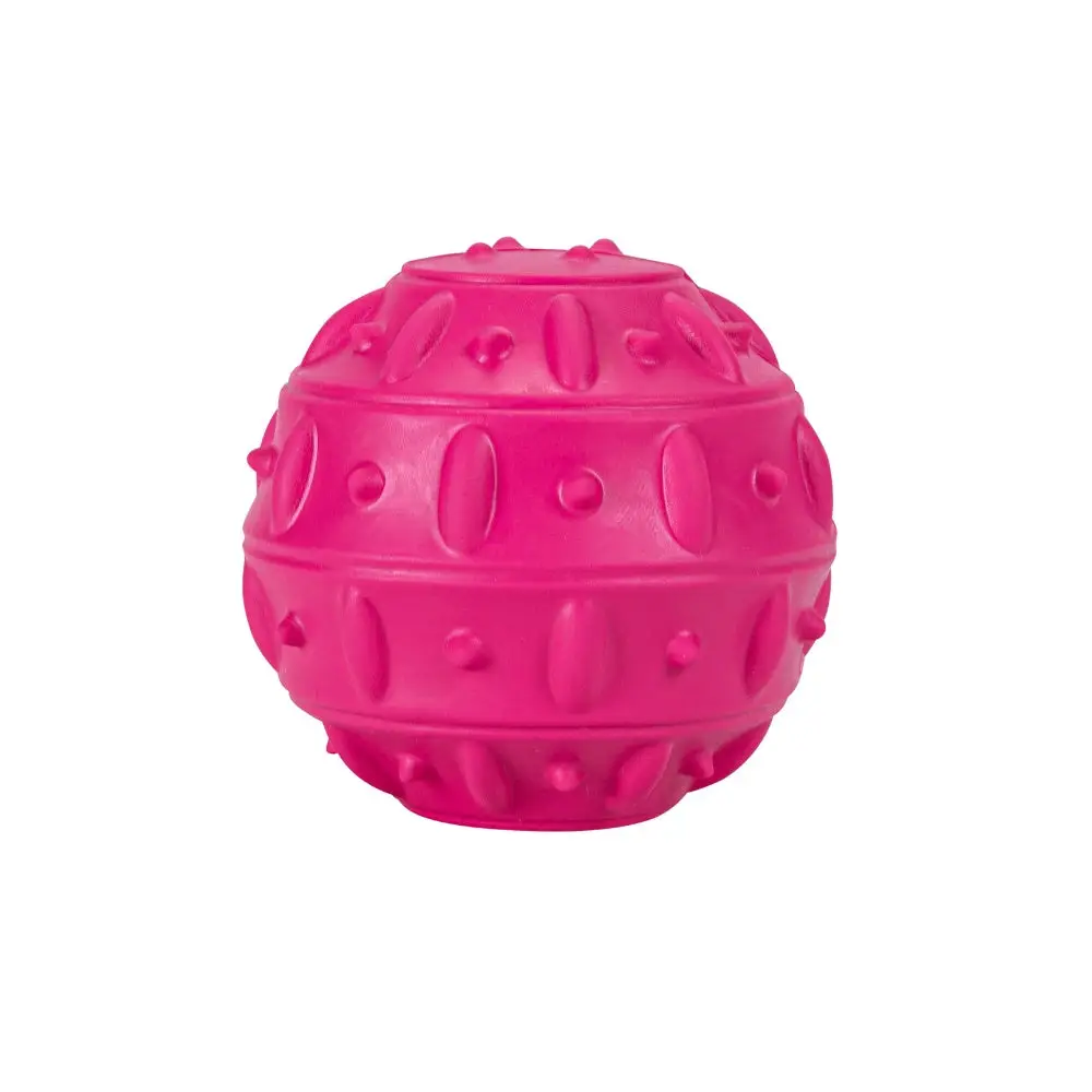 Juguete Perro Pelota Snack Teak - Image 2