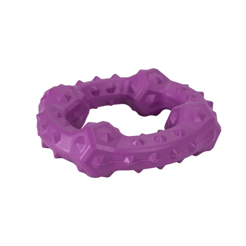 Juguete Perro Goma Round about Violeta 11.4x11.4x3.1 cm - Image 2