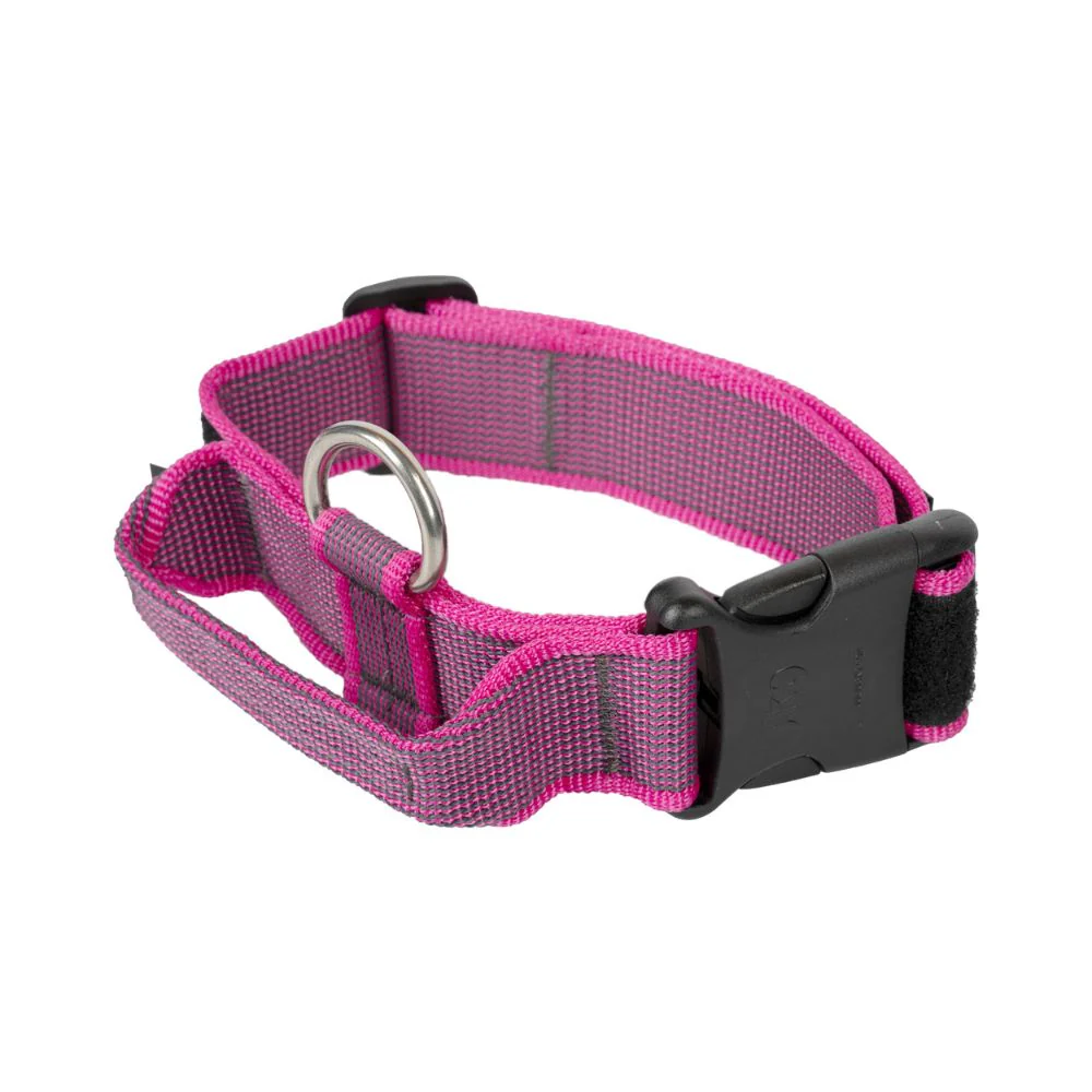 Julius K9 Collar con Asa de Agarre para Perros - Image 5