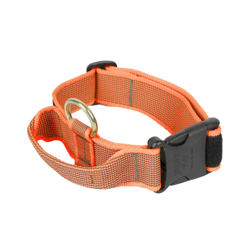 Julius K9 Collar con Asa de Agarre para Perros - Image 6