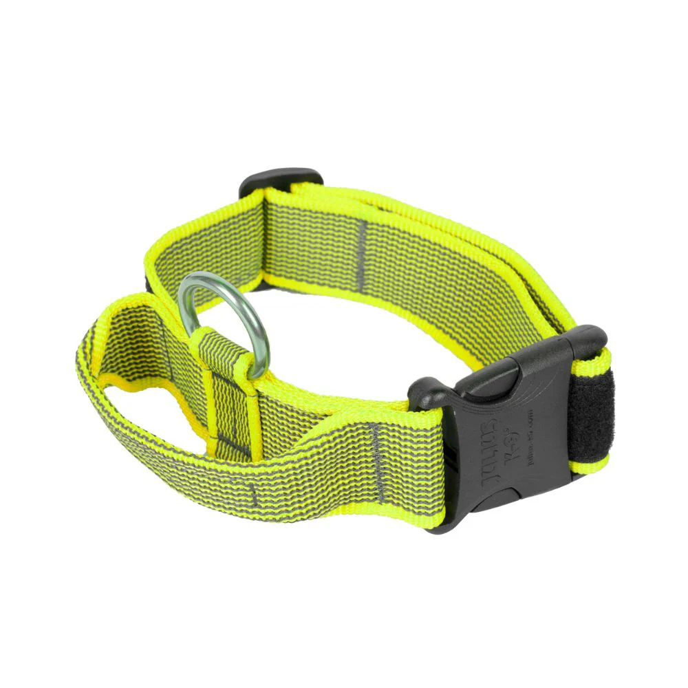 Julius K9 Collar con Asa de Agarre para Perros - Image 7