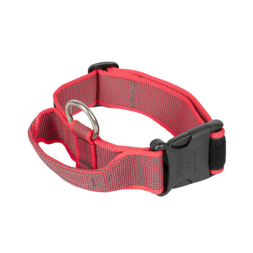 Julius K9 Collar con Asa de Agarre para Perros - Image 8