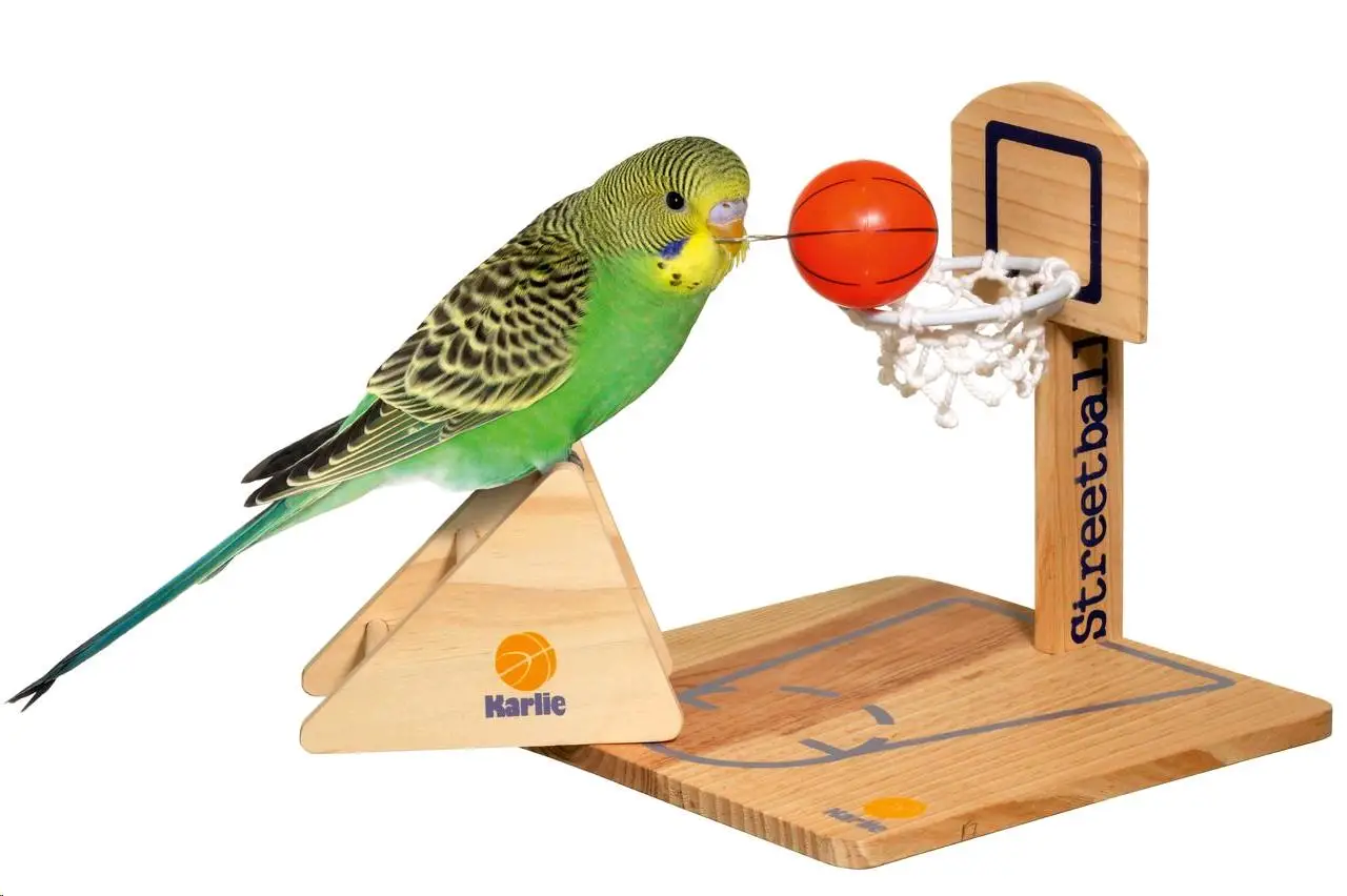 Flamingo Juguete Pajaro Street Ball 20X20X20 cm