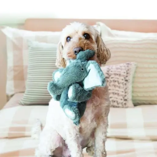 KONG Comfort Kiddos Elephant XS Juguete para Perros - Image 2