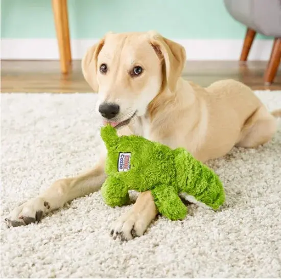 KONG Cozie Ali Alligator XL Juguete para Perros - Image 2