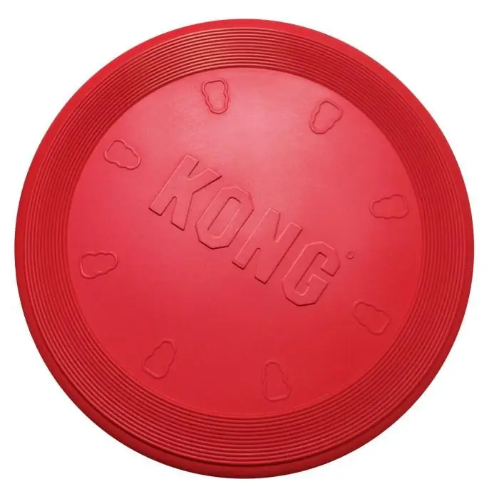 KONG Flyer - Image 3