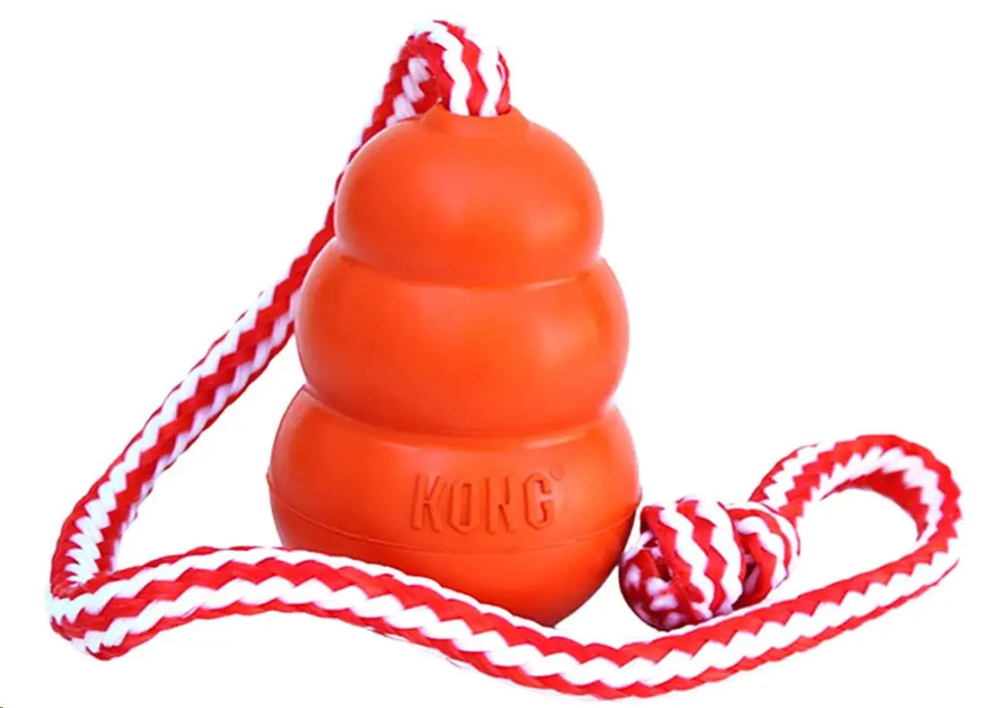 KONG Juguete Perro Aqua T-L Para El Agua - Image 2