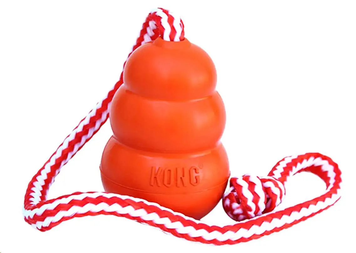 KONG Juguete Perro Aqua T-M Para El Agua - Image 2