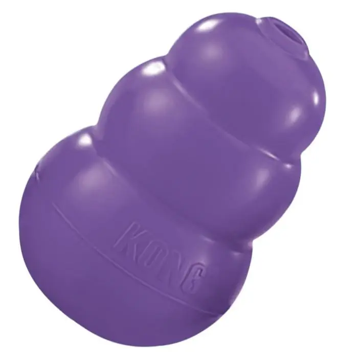 KONG Senior - Image 3