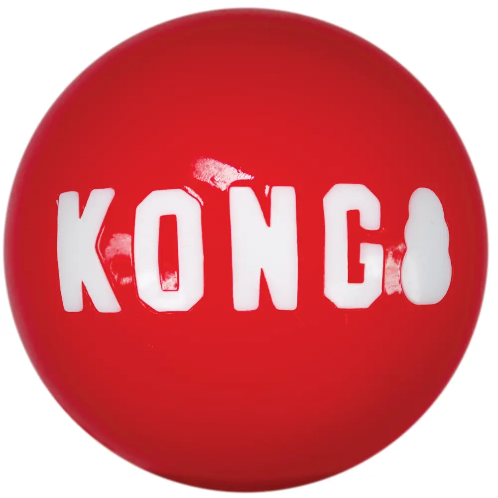 KONG Signature Balls Pack-2 - Image 3