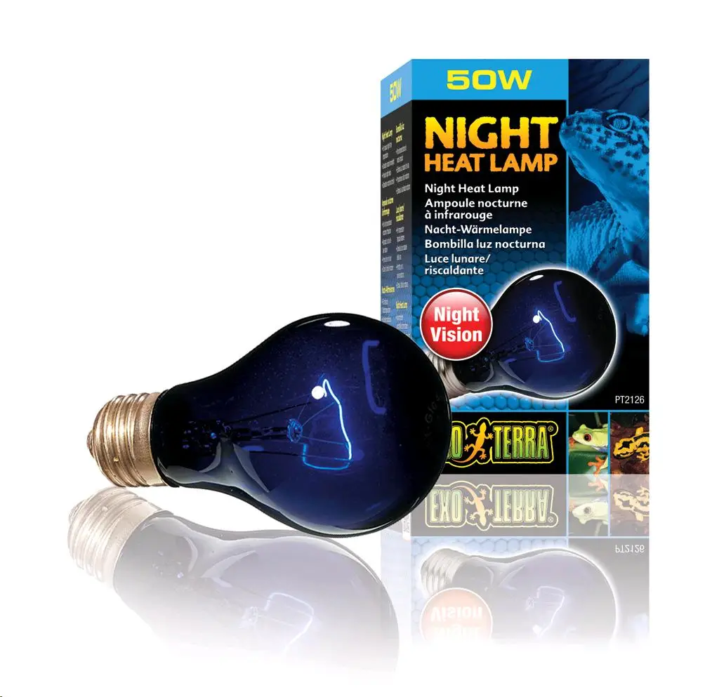 Lámpara Night Glo Incandescente Exo Terra 50W - Image 4