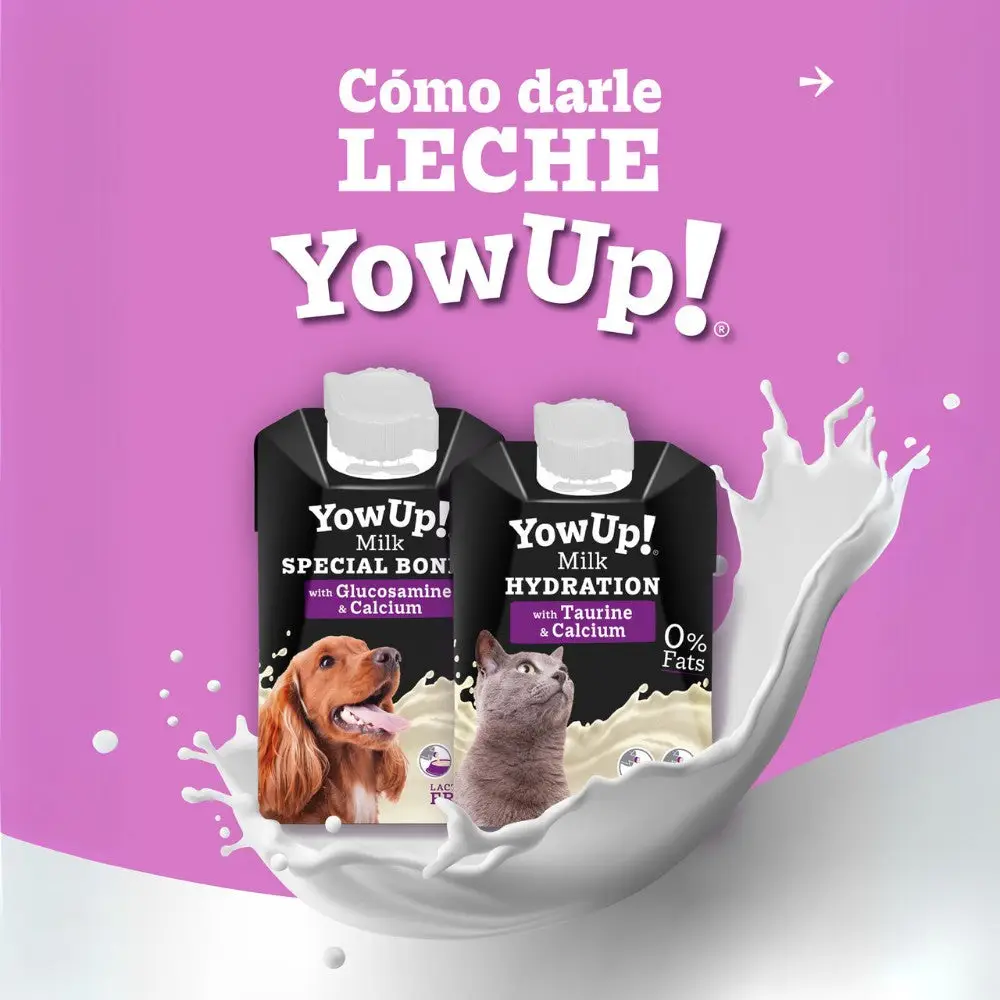 Leche para Perros 250 ml YowUp! - Image 2