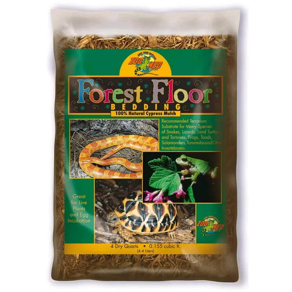 Mantillo de Cipres Forest Floor